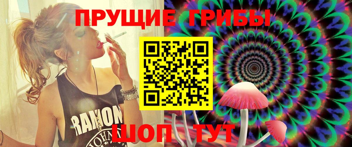 Галлюциногенные грибы Magic Shrooms Саранск