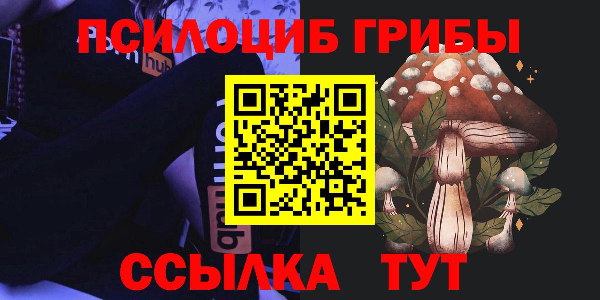 Саранск  Галлюциногенные грибы Psilocybine cubensis  Вход с VPN 